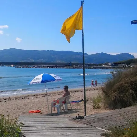 Mirando Al Mar *